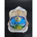 FRANCE POUSSIN