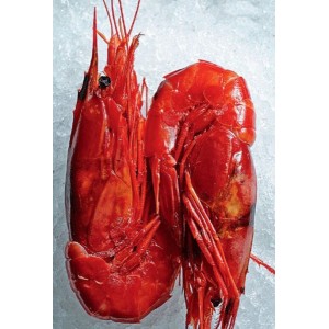 https://www.sffc.com.hk/sffc_shop/412-273-thickbox/wild-caught-carabinero-shrimp-2pcs-pad.jpg