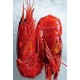 Wild Caught Carabinero Shrimp  2pcs / Pad