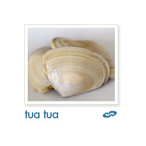 https://www.sffc.com.hk/sffc_shop/427-275-thickbox/cloudy-bay-clams-tua-tua-500g.jpg