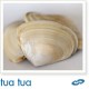 Cloudy Bay Clams  - Tua Tua  500g