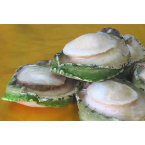 https://www.sffc.com.hk/sffc_shop/486-291-thickbox/australia-abalone.jpg