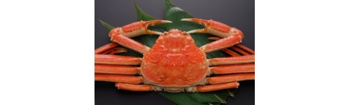 蟹